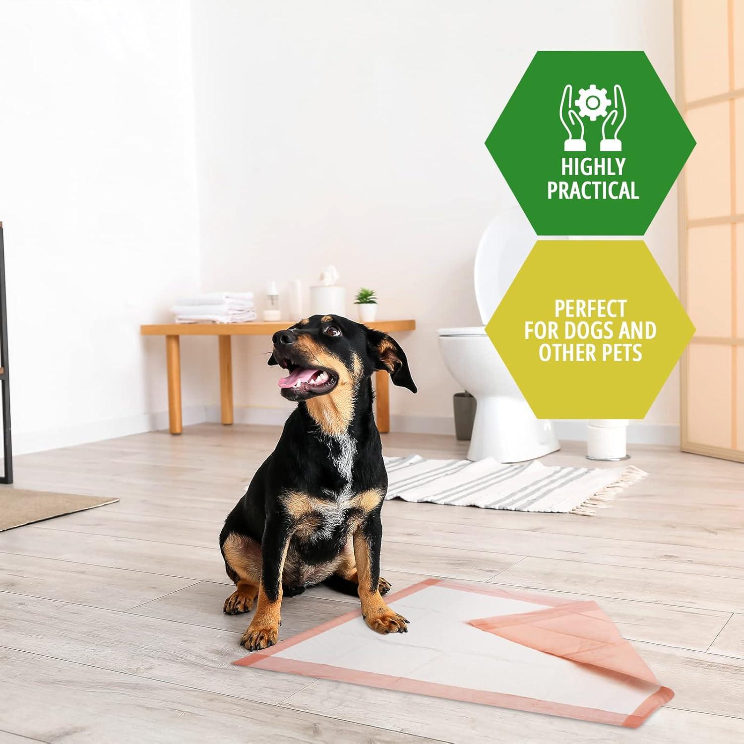 imageMED PRIDE Dog Training Pads With Attractant Pack of 100 Disposable UltraAbsorbent Puppy Potty Pee Pads With 6Layer Technology Leakproof ampamp Waterproof Pet Pads For Dogs Cats Rabbits 22 x 2422 x 24