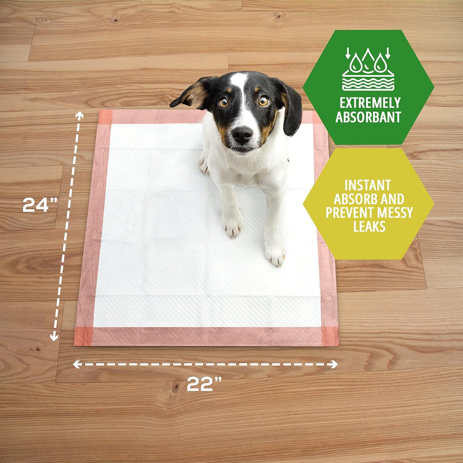 imageMED PRIDE Dog Training Pads With Attractant Pack of 100 Disposable UltraAbsorbent Puppy Potty Pee Pads With 6Layer Technology Leakproof ampamp Waterproof Pet Pads For Dogs Cats Rabbits 22 x 2422 x 24