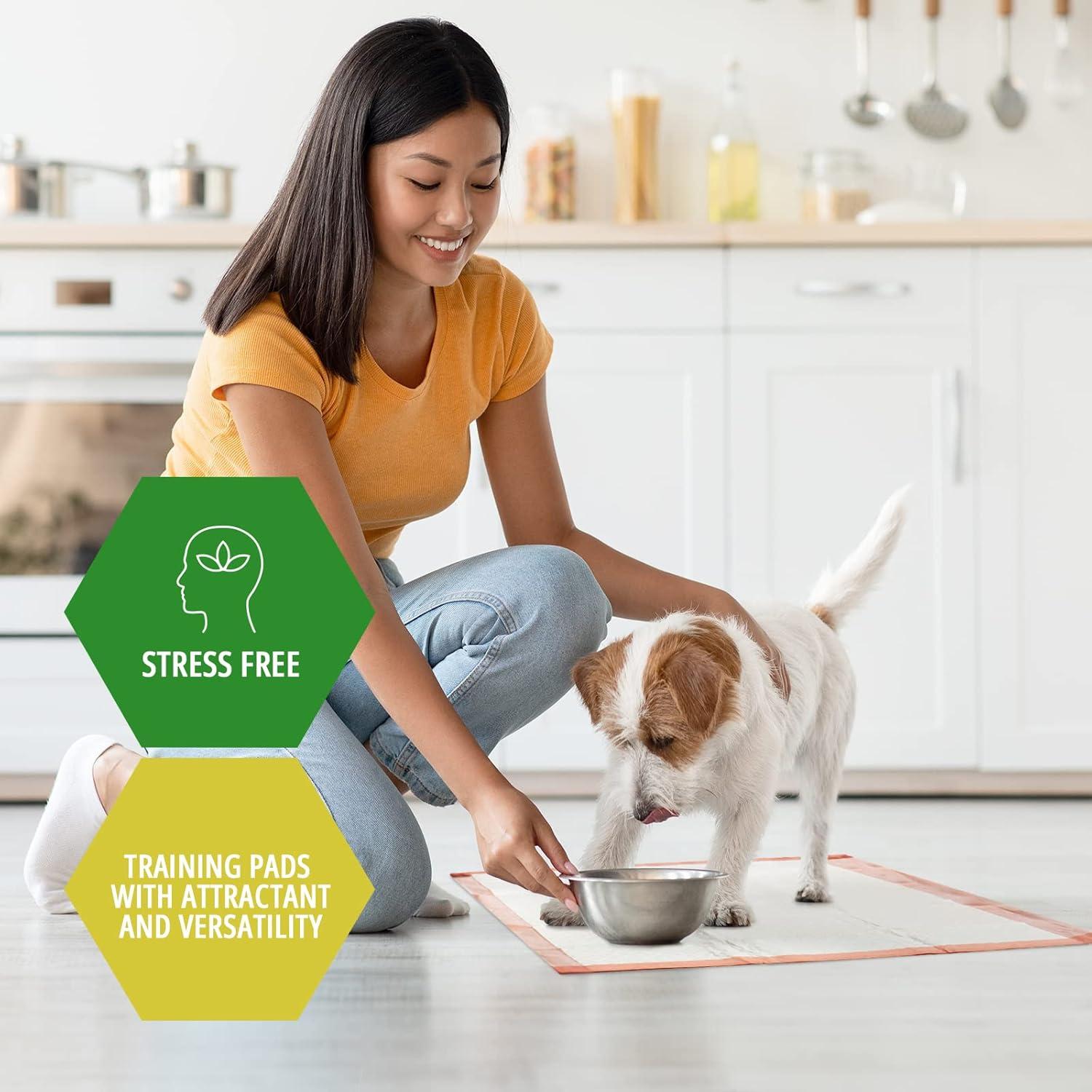 imageMED PRIDE Dog Training Pads With Attractant Pack of 100 Disposable UltraAbsorbent Puppy Potty Pee Pads With 6Layer Technology Leakproof ampamp Waterproof Pet Pads For Dogs Cats Rabbits 22 x 2422 x 24